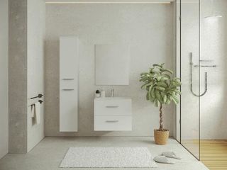 Muebles de baño + lavabo + columna