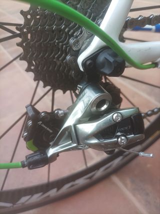 Bici Carretera Cannondale EVO Carbono