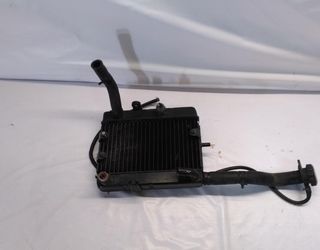 Radiador Agua Yamaha Majesty 250 99-02