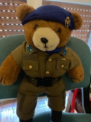 Peluche Orso Aeronautica Militare