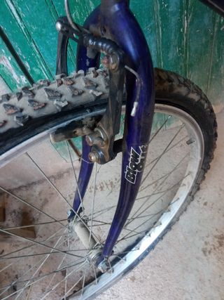 Bicicleta Montaña Extreme  dos ruedas pinchadas