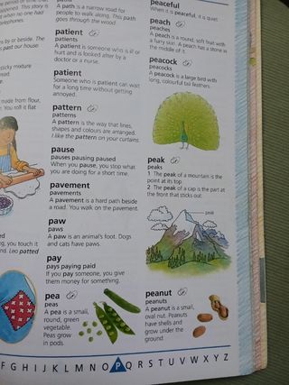 The Usborne First Dictionary