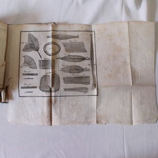 Libro Antico 1778 Scienze Illustrato Martin
