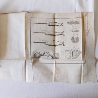 Libro Antico 1778 Scienze Illustrato Martin