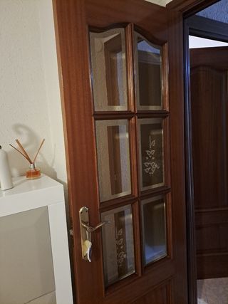 Vendo dos puertas,el precio es de las dos