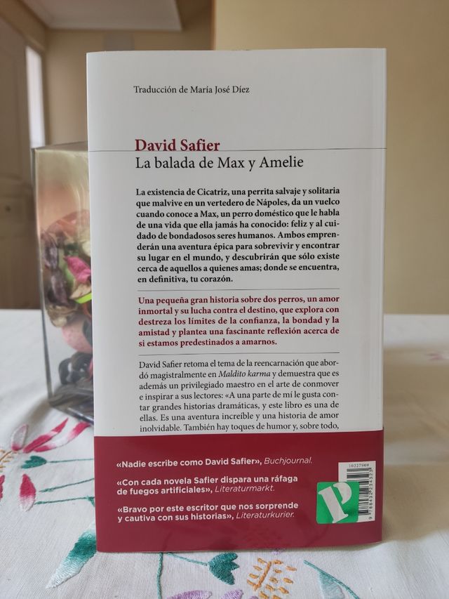 La balada de Max y Amelie - David Safier