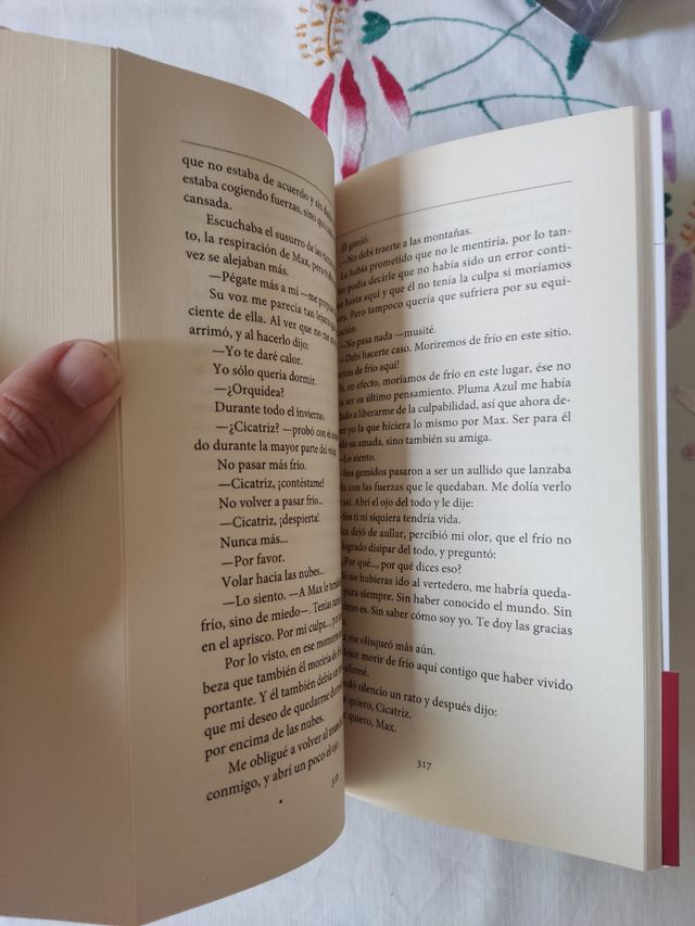 La balada de Max y Amelie - David Safier