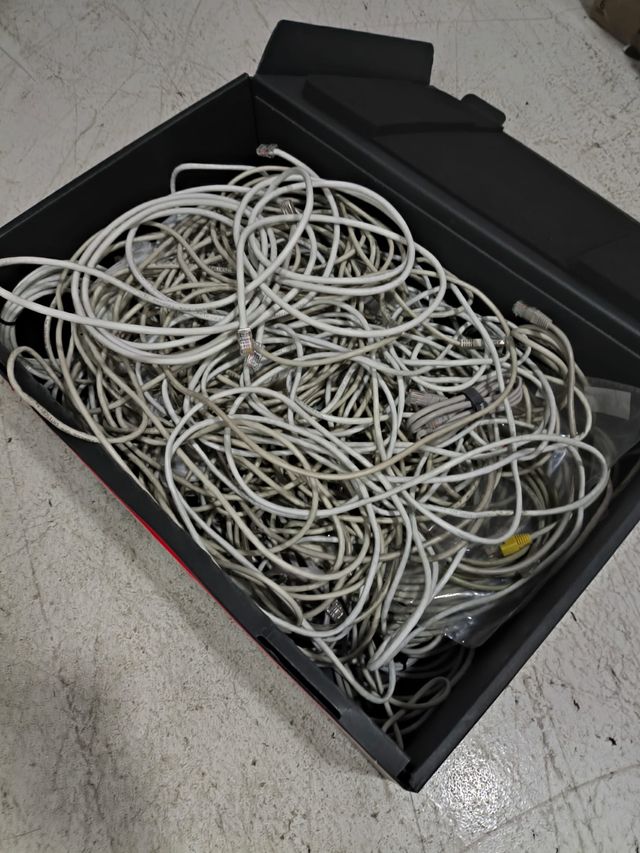 Lote Cables Red Ethernet Cat6 U/UTP