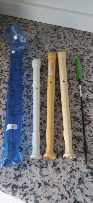 Lote de flautas dulces y funda