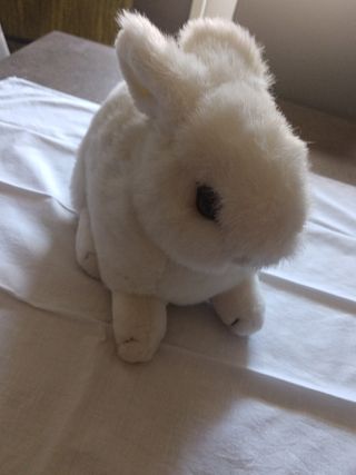 Coniglio peluche bianco