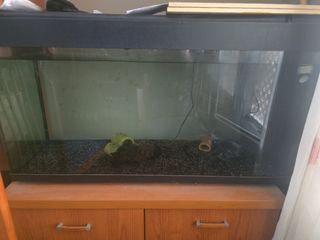 Acuario 200L Negro y Transparente