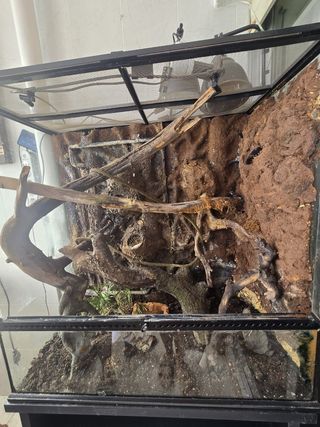 Terrario exoterra 90x45x90