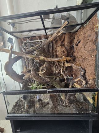 Terrario exoterra 90x45x90