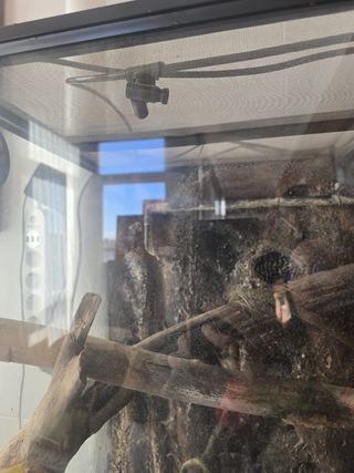 Terrario exoterra 90x45x90