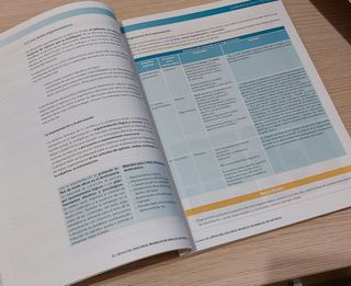 Lengua Castellana 2ºbachillerato