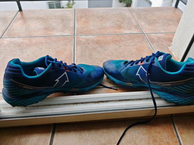 Zapatillas Raidlight Dynamic 2 Talla 44.5