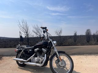 Harley Davidson Sportster Xl 883 Custom