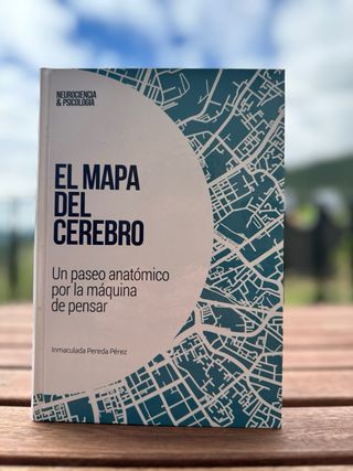 Redes neuronales y plasticidad funcional: El ce...