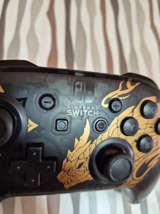 Nintendo Switch Pro Controller Monster Hunter