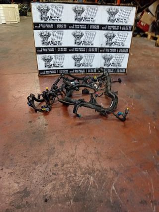 Cableado Motor Ford Focus 1.6 HDI 9HY