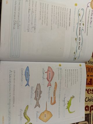 Lingua, 2 Primaria, Operación Mundo