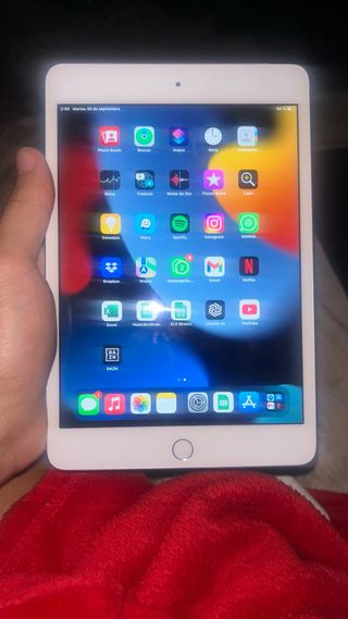iPad Mini bianco