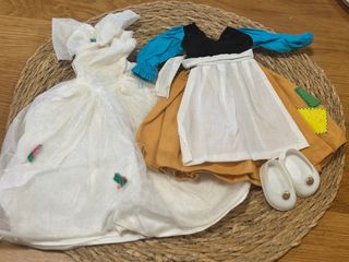 Lote Ropa Muñeca Famosa Cenicienta
