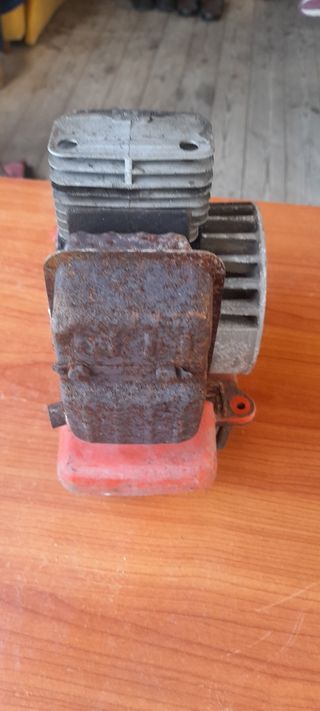 Motore per decespugliatore