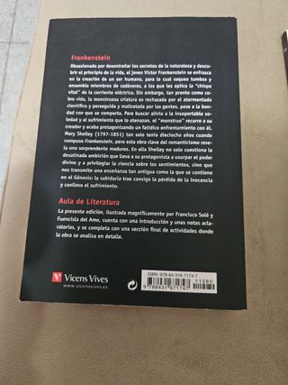 Frankenstein - Aula De Literatura (Spanish Edit...