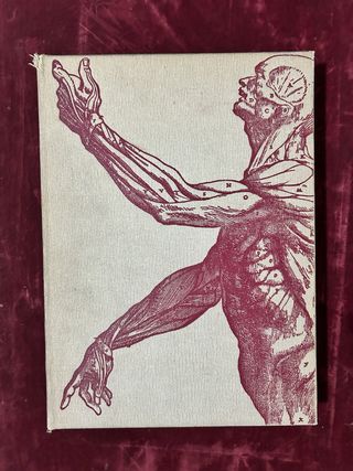 Maravillas de nuestro cuerpo