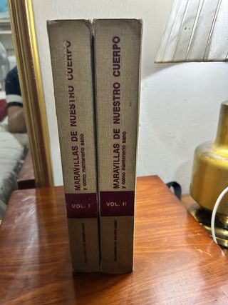 Maravillas de nuestro cuerpo