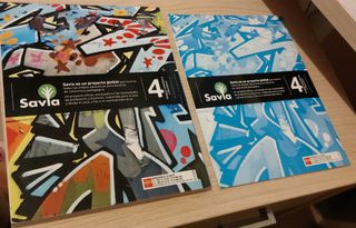 Lengua castellana y literatura. 4 ESO. Savia