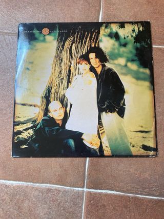 Vinilo Presuntos Implicados