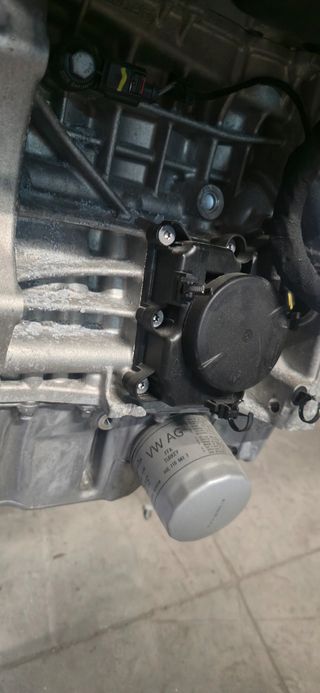 Motor Volkswagen Skoda Seat Audi DSG