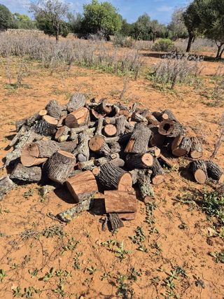 Leña para chimenea o barbacoa