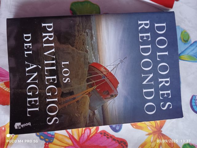 Los privilegios del ángel