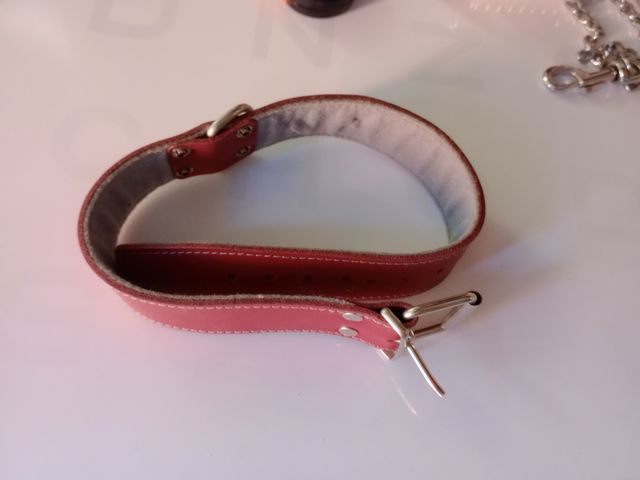 Collar para paseo de cuero rojo de 65 cm