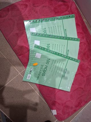 Recambio Hojas 100 uds 215x310mm 60gr