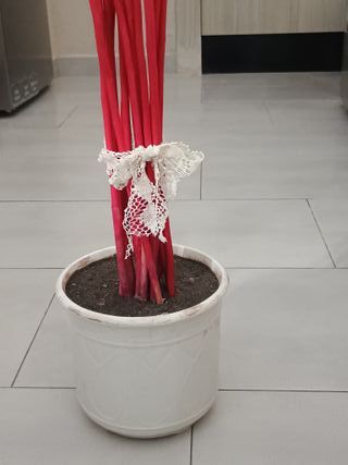 Maceta con varas de caña rosa