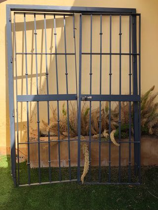 Puerta y reja de hierro