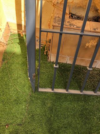 Puerta y reja de hierro