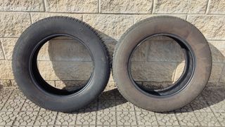 NEUMÁTICOS MICHELIN CROSSCLIMATE 225/60 R17 103V