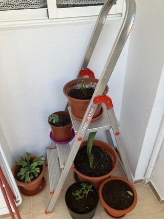 2 Escaleras Aluminio 2/4 Peldaños Seminuevas