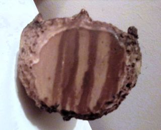 Portal de Belén (nuez 10x10x12)
