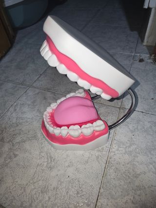 Dientes de juguete para prácticas dentales