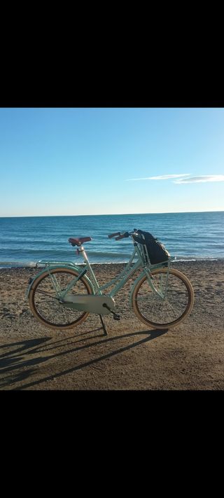 Bicicleta Paseo Popal Shimano 29