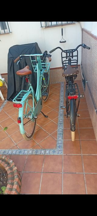 Bicicleta Paseo Popal Shimano 29