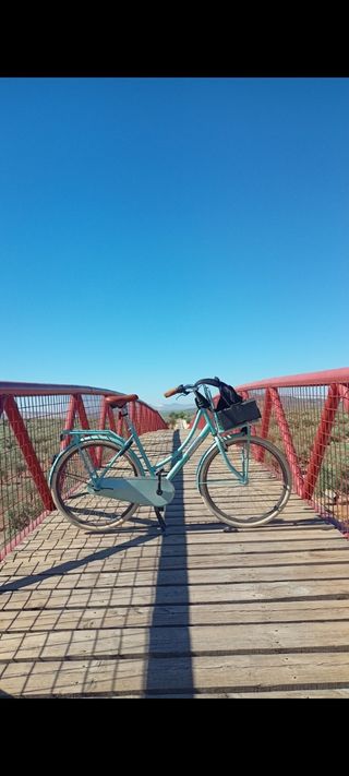 Bicicleta Paseo Popal Shimano 29