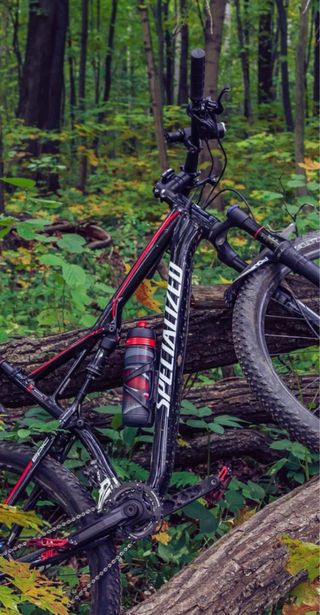 Alquiler de bicis