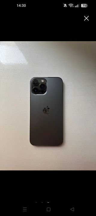 iPhone 13 Pro Max 128GB Grafito